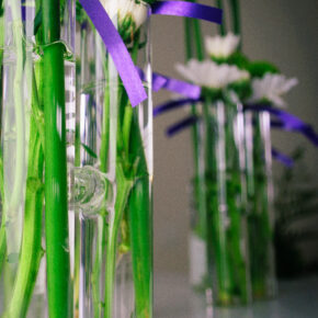 Belart - Picture Photographe - Mariage Amandine & Antoine_07